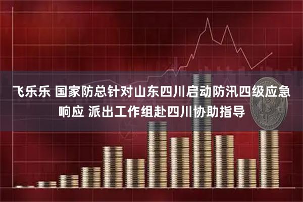 飞乐乐 国家防总针对山东四川启动防汛四级应急响应 派出工作组赴四川协助指导