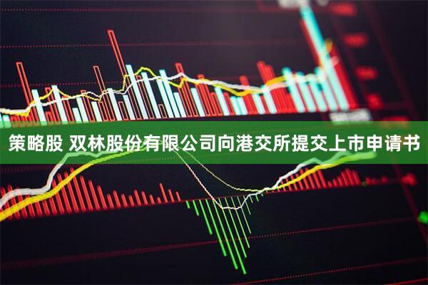 策略股 双林股份有限公司向港交所提交上市申请书