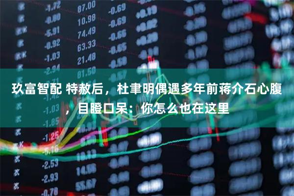 玖富智配 特赦后，杜聿明偶遇多年前蒋介石心腹，目瞪口呆：你怎么也在这里