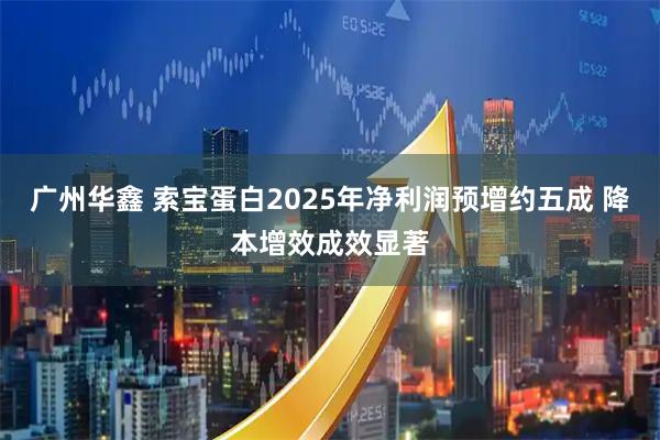 广州华鑫 索宝蛋白2025年净利润预增约五成 降本增效成效显著